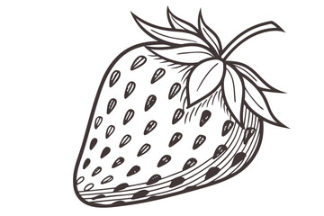 Hand drawn sketch illustration of a single ripe strawberry with visible seeds and green leaves on a white background perfect for food design and healthy eating concepts