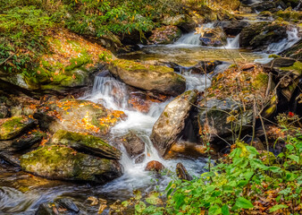 Smith Creek along the Anna Ruby Falls Trail in the  Chattahoochee-Oconee National Forestin the northeast mountains of Georgia near Helen Georgia USA