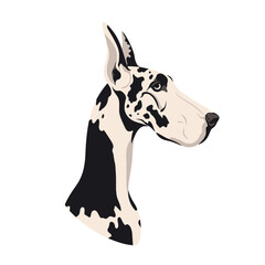 Great Dane head profile illustration with black and white fur.