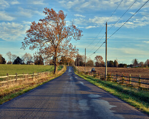 Country Road Leading Toward a Distant Home