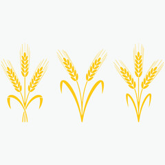 Golden stylized wheat ear representing harvest agriculture and organic food production concepts Vector icon