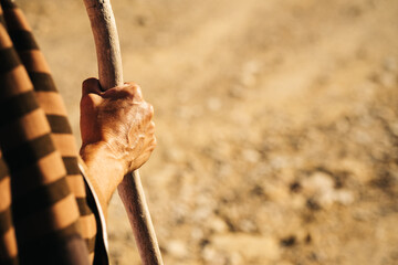 Close-up of a man's hand leaning on a stick in the field
