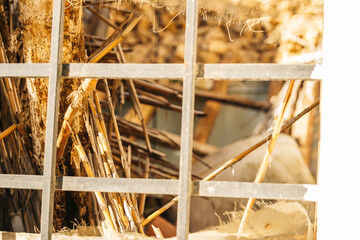 Old ruined house seen through the window