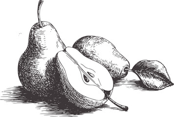 Black and white ink of a whole and halved pear with leaf