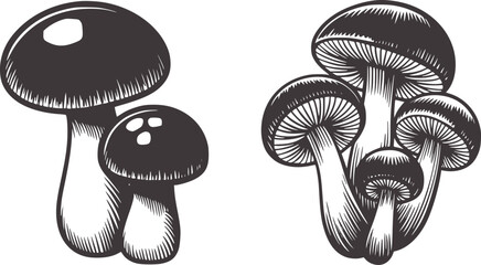 Black and white ink of clustered mushrooms