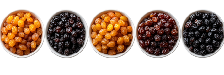 Multicolored circular shapes for color palette comparison