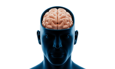 Anatomical illustration of a human brain inside a silhouette head, representing intellect and consciousness
