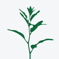 Minimalist Botanical Silhouette Vector Illustration - Single Delicate Plant Stem with Leaves and Bud