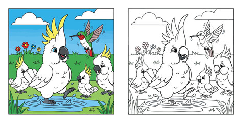 Cute cartoon cockatoo parrot family with baby chicks and flying hummingbird playing in water puddle sunny nature background vector illustration for kids