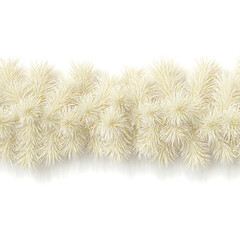 Creamy White Fluffy Pine Needles Border - Textured Festive Design