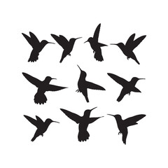 Hummingbird Silhouettes Collection,Hummingbirds Silhouettes,Vector Hummingbird Silhouettes,Flying Hummingbird Silhouettes,hummingbird vector
