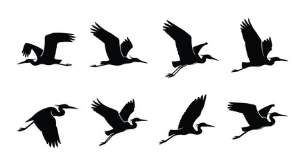 Obraz premium A collection of silhouettes depicting herons in various flight poses