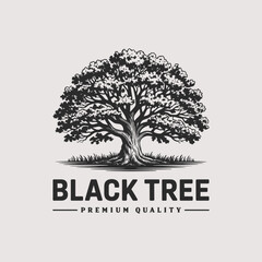 Black tree with leaves isolated on white background. Vintage sketch illustration.