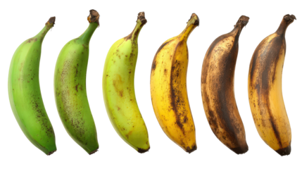 Banana Ripening Stages: A visual guide depicting the ripening process of a vibrant collection of bananas. Each banana displays a unique hue, showcasing stages from green to yellow, and finally.