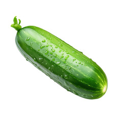 Fresh Green Zucchini with Water Droplets on White Background