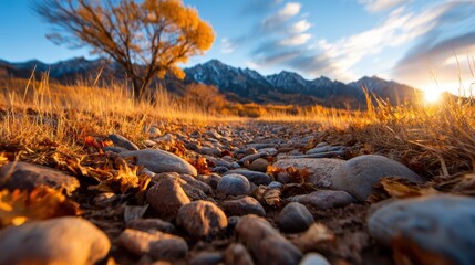 A picturesque rocky pathway surrounded by beautiful autumn scenery, capturing the essence of nature's transitions and vibrant seasonal changes in a serene setting.