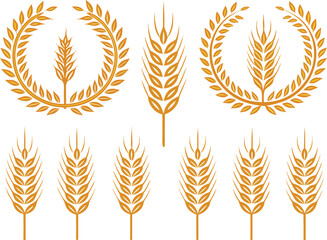 Golden wheat stalks and wreaths for harvest and agriculture