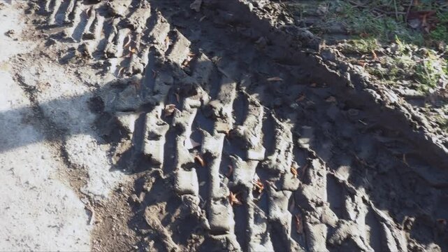 Deep tire tread marks stretch across the soaked mud