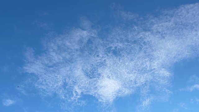 Blue sky with cirrocumulus clouds.
