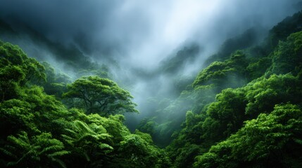 A serene mist envelops a lush green forest nestled among rolling mountains, creating a tranquil and mysterious scene that embodies the beauty and majesty of nature.