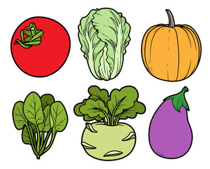 Tomato, Chinese cabbage, pumpkin, eggplant, spinach, and kohlrabi  color illustration with outline on white background
