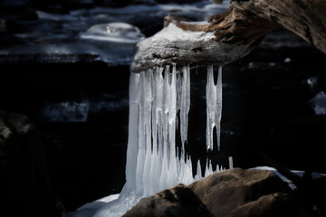 Icicles hang from a piece of driftwood, formed over a stream. The surrounding rocks add texture and contrast against the dark water.