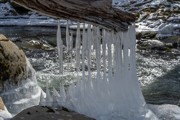 A natural winter scene where elongated icicles hang from a large piece of driftwood suspended over...