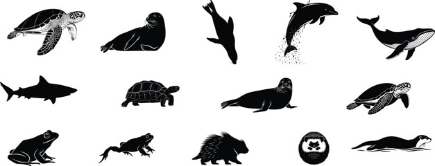 Silhouette illustrations of various marine and terrestrial animals