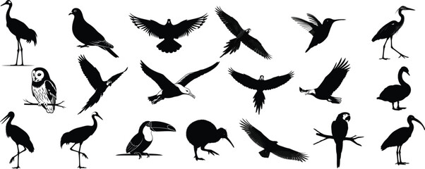 Collection of various crane and bird silhouettes in different poses