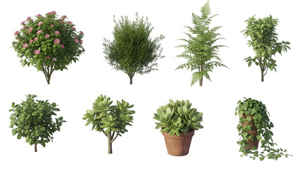 Collection of Various Green Plants and Bushes on White Background