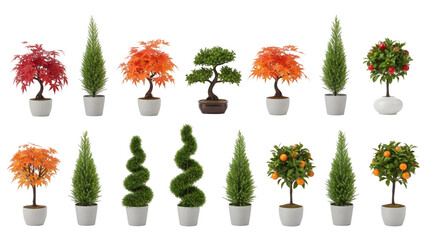 Potted topiary trees and colorful plants arranged in neat rows.