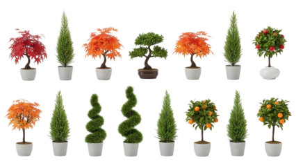 Potted topiary trees and colorful plants arranged in neat rows.