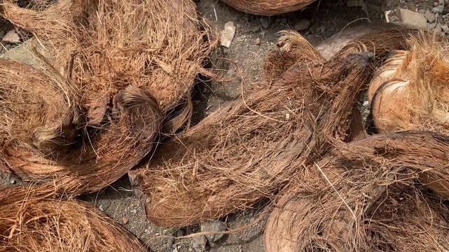 Close-up of Coconut Husks Piled Up.