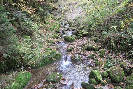 Der Wanderweg von Steibis in Oberstaufen zu den Buchenegger Wasserf&auml;llen &uuml;berquert den Stegenbach. Das Wasser flie&szlig;t im Bachbett &uuml;ber mit Moos bedeckte Steine. Gesehen im Herbst.