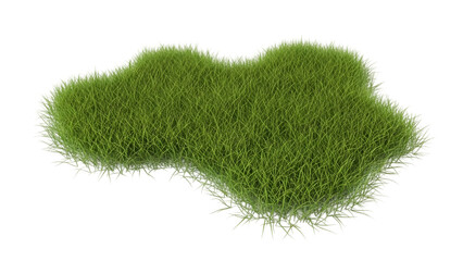Lush green patch of grass isolated on white background