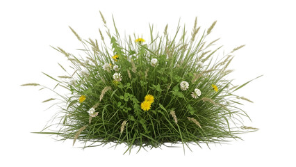 Wildflowers and grass against a clear background form a natural bouquet.
