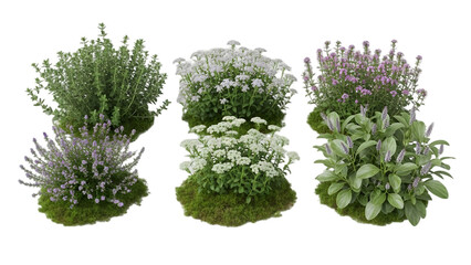 Various Flowering Plants Arranged on Mossy Ground