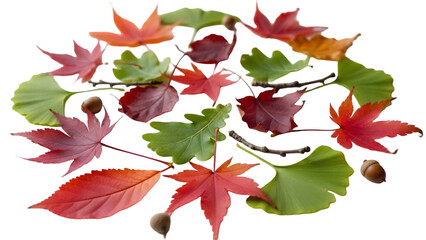 Colorful autumn leaves arranged in a decorative circular pattern