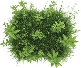 Lush green grass and foliage isolated on perfect for nature and ecology themed designs isolated on white transparent background