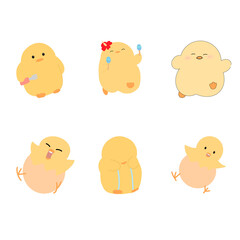 다이어터 노란 병아리