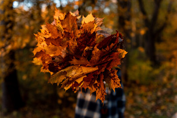 Autumn ruska in the Nordics with copy space 