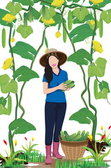 agriculturist is harvesting cucumbers in garden vector design