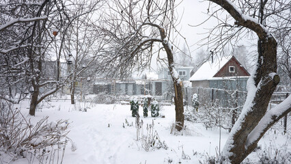 A summer cottage in winter. A panoramic view of the plot with a snow-covered vegetable garden and fruit trees. Summer buildings are in the background.