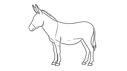 A simple line drawing depicts the side profile of a donkey showcasing its distinctive features