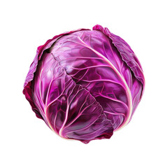 Obraz premium Vibrant Red Cabbage. Fresh Produce And Nutritional Benefits. Isolated On Transparent Background