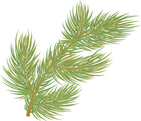 christmas tree branch