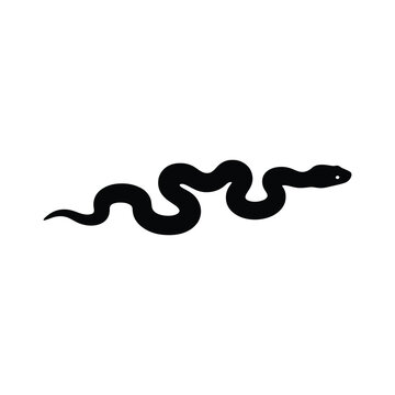 Snake silhouette slithering reptile vector