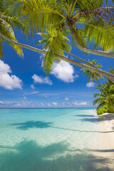 Naklejka premium Tropical summer island beach landscape. Beautiful peaceful nature scene with turquoise ocean sunny sky and white sandy shore. Tranquil vacation wallpaper background. Idyllic travel holiday destination