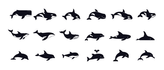 Set of dolphin and orca silhouettes collection of black whale icons marine mammal swimming in ocean graphic poses