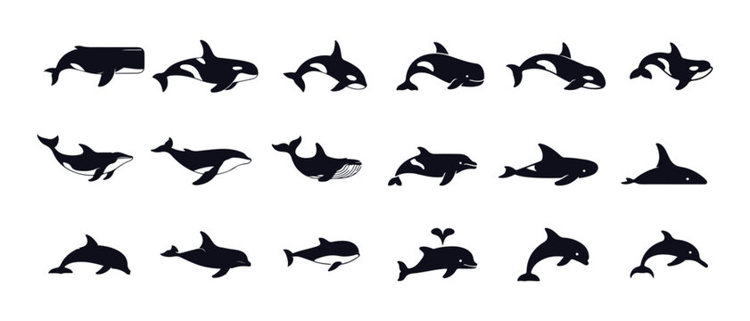Set of dolphin and orca silhouettes collection of black whale icons marine mammal swimming in ocean graphic poses